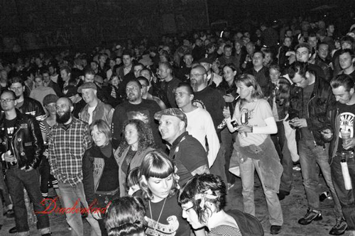 The audience watchin' Sonny and his Wild Cows